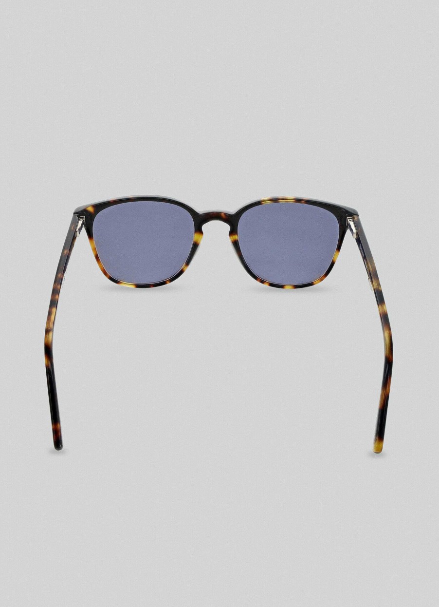 Tilbehor Hackett London | Klubbmester Stripet Solbrille