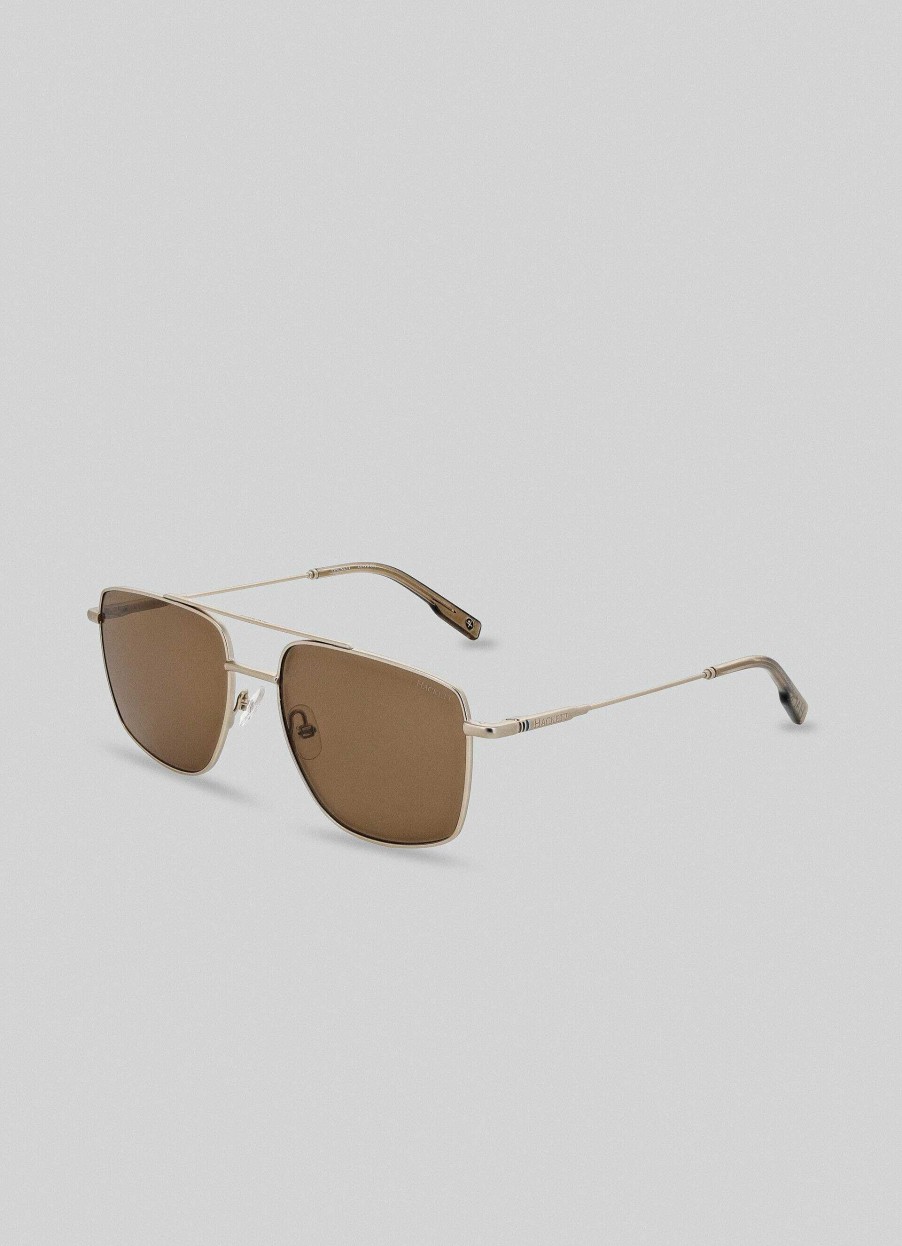 Tilbehor Hackett London | Aviator Solbriller